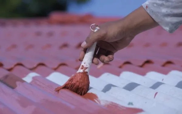 Pintura Techo al Agua